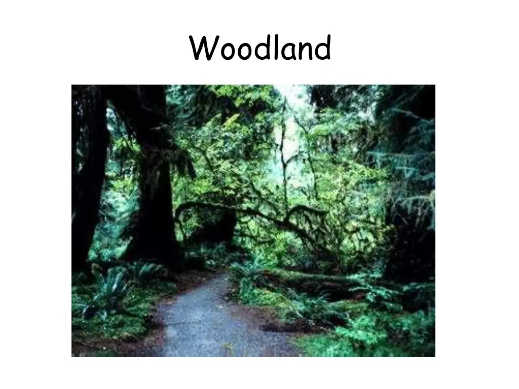 woodland