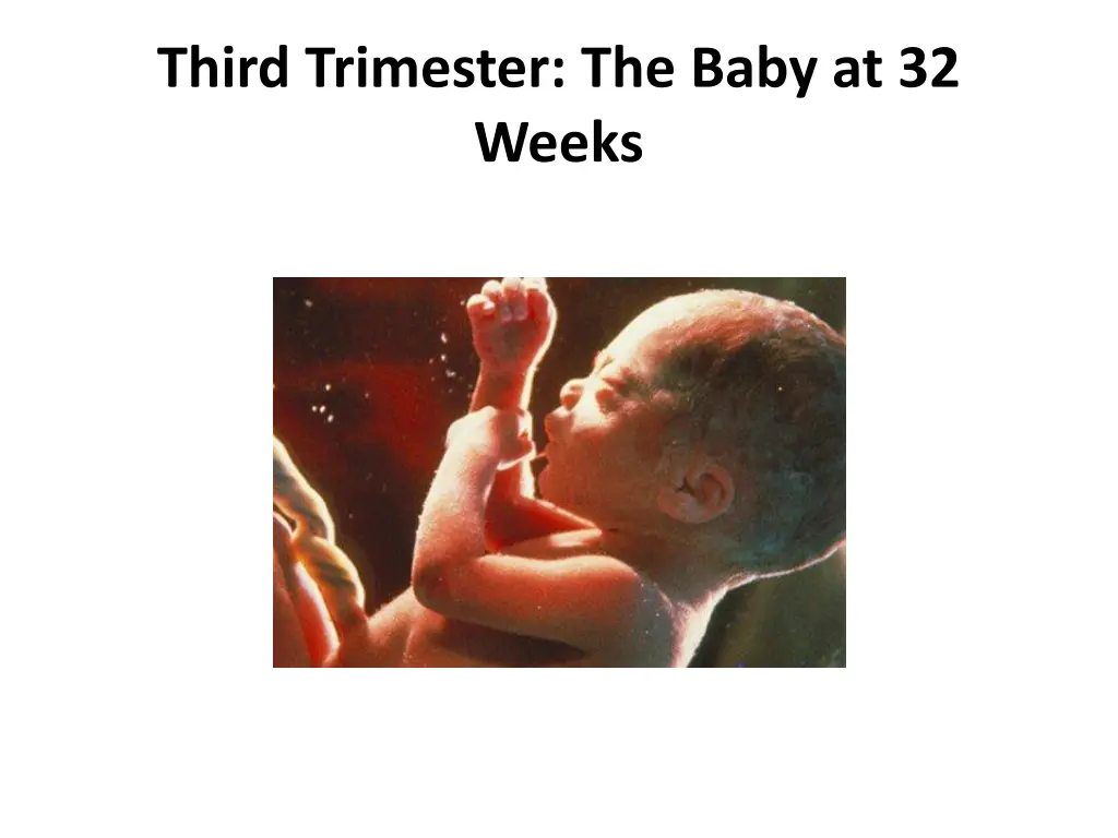 third trimester the baby at 32 weeks