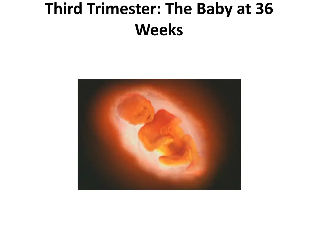 third trimester the baby at 36 weeks