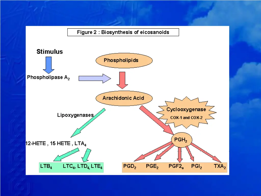 slide30