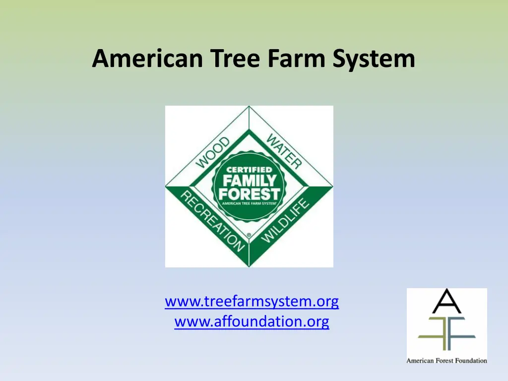 american tree farm system