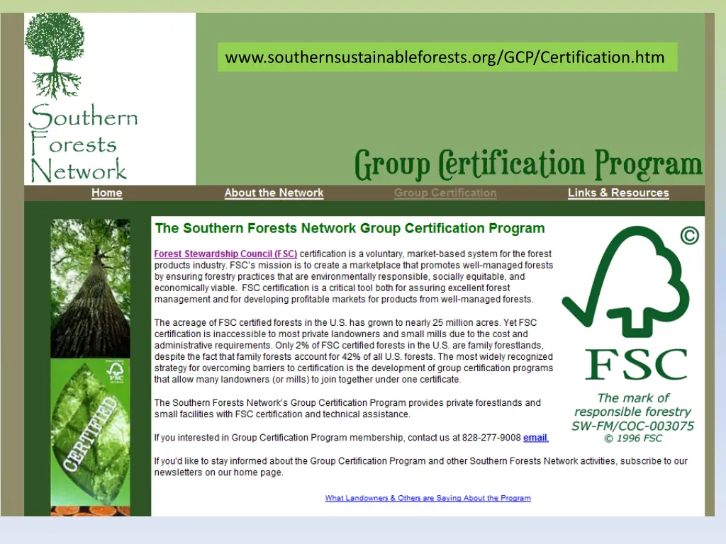 southern forests network