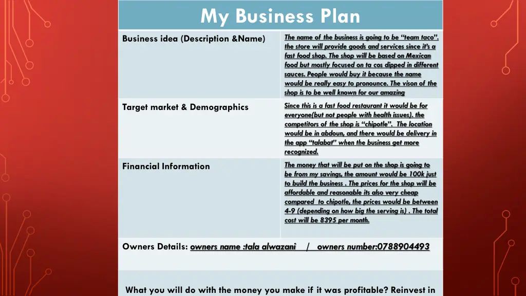 my business plan