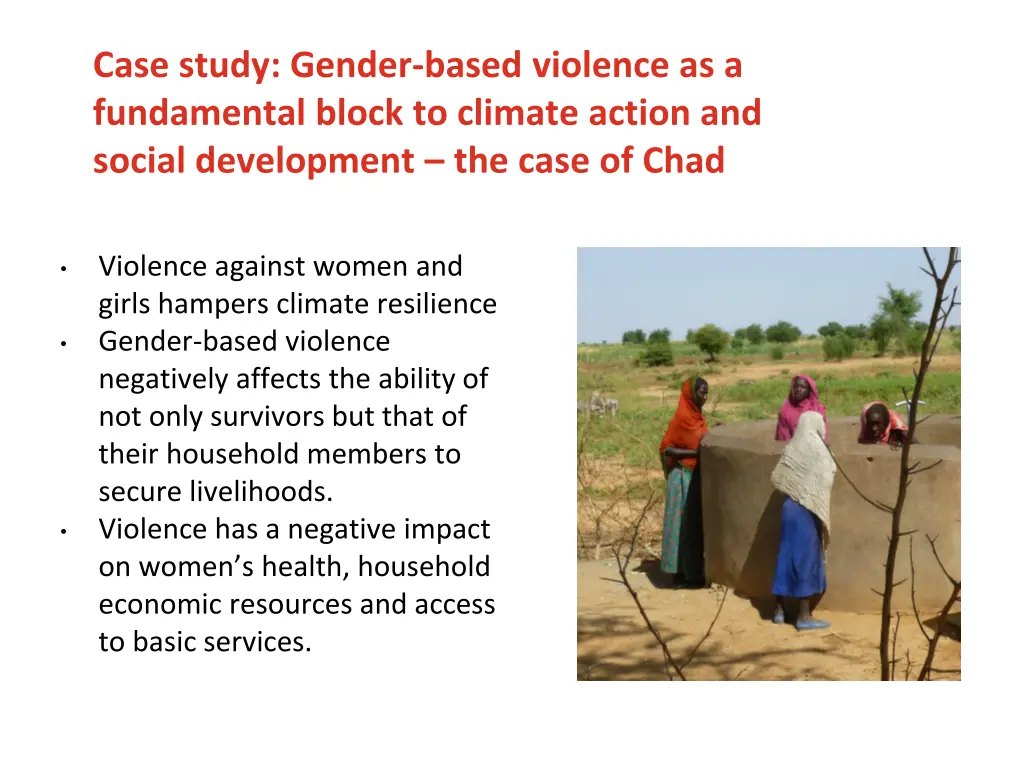 case study gender based violence as a fundamental