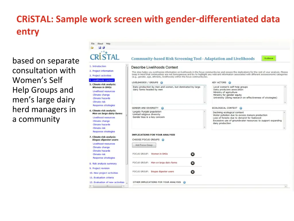 cristal sample work screen with gender