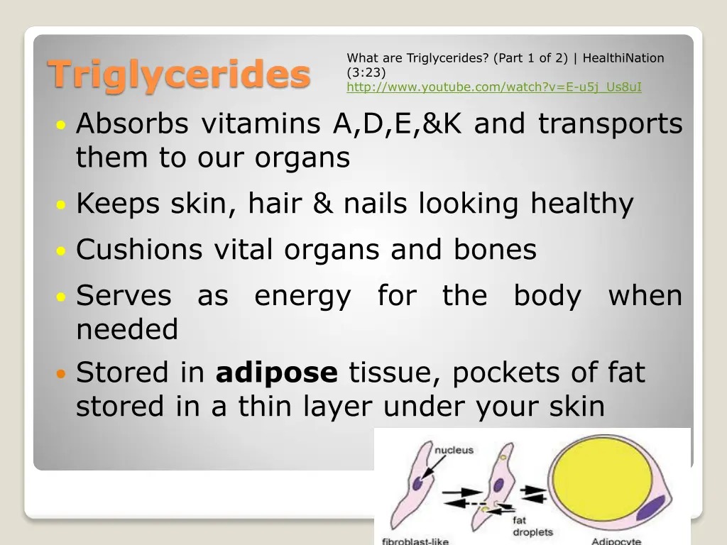 what are triglycerides part 1 of 2 healthination