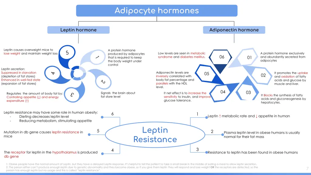 adipocyte hormones