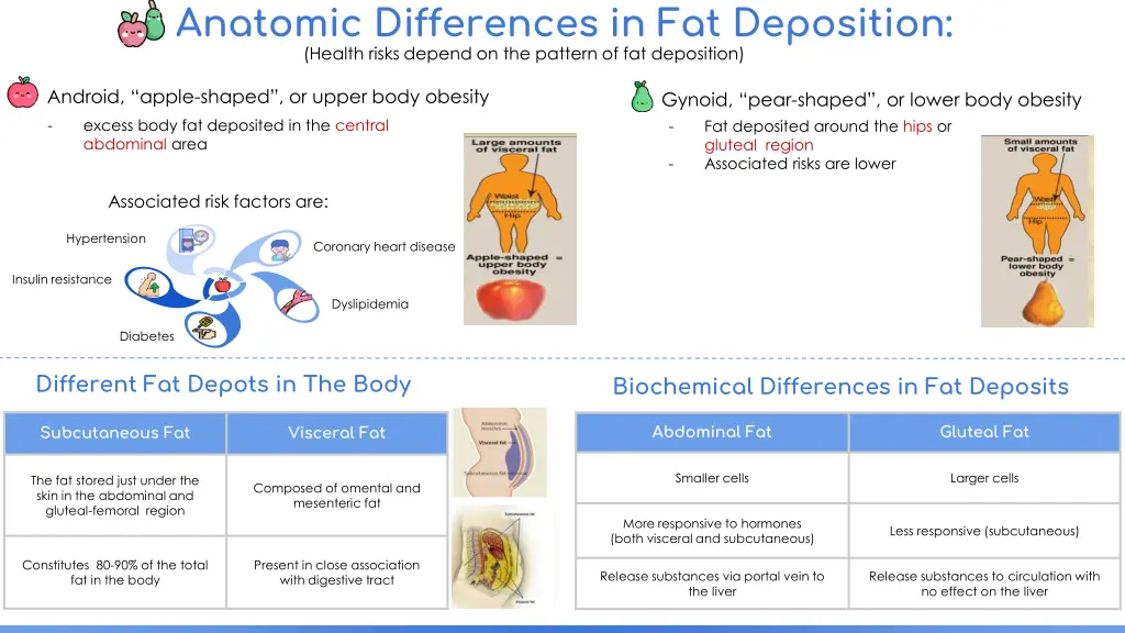 anatomic differences in fat deposition health