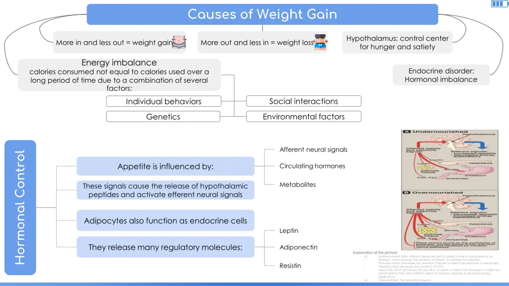 causes of weight gain