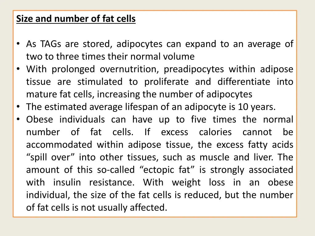 size and number of fat cells