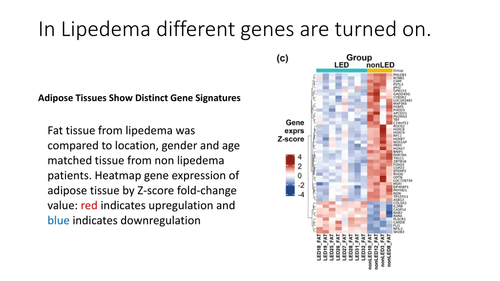 in lipedema different genes are turned on