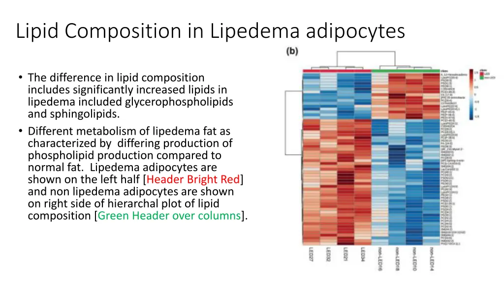 lipid composition in lipedema adipocytes