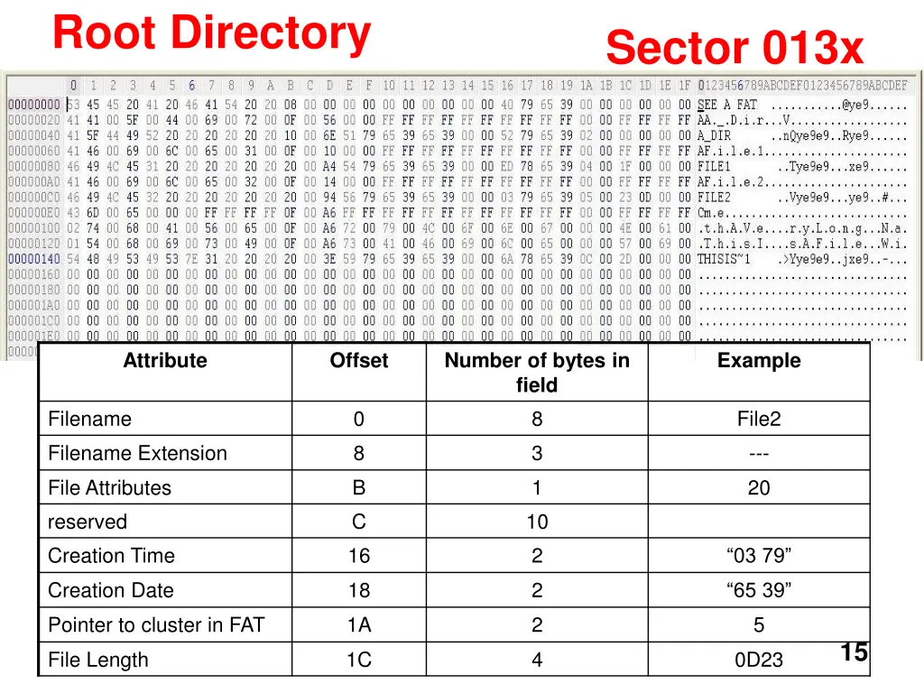 root directory