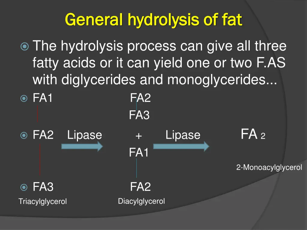 general hydrolysis of fat general hydrolysis