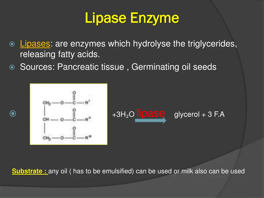 lipase enzyme lipase enzyme