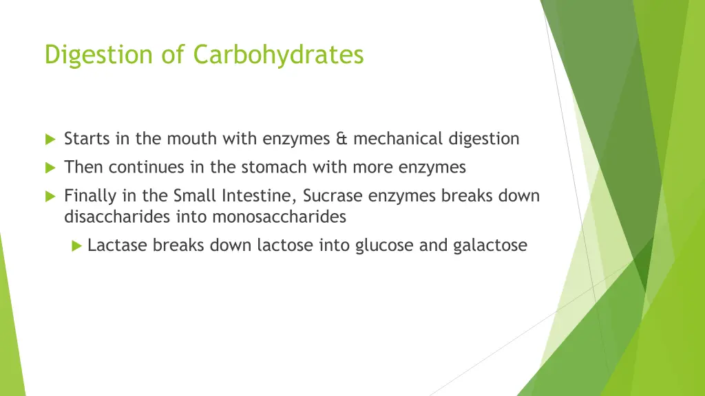 digestion of carbohydrates