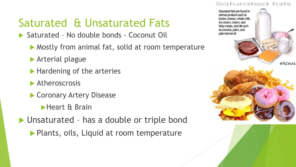 saturated unsaturated fats saturated no double