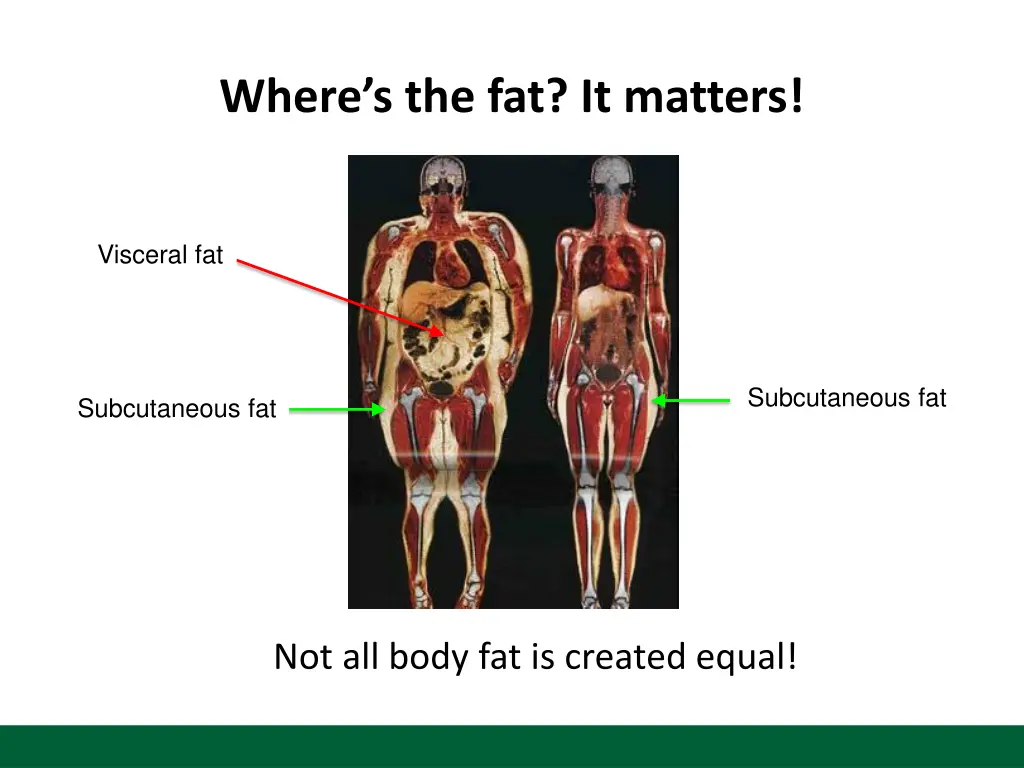 where s the fat it matters 1