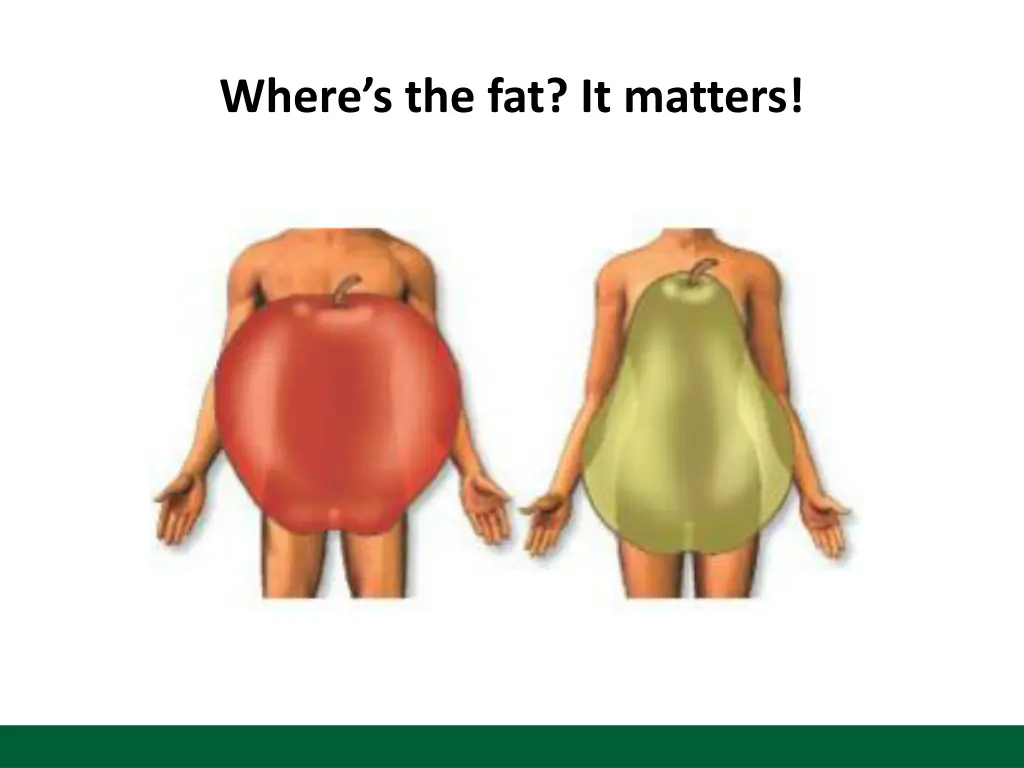 where s the fat it matters