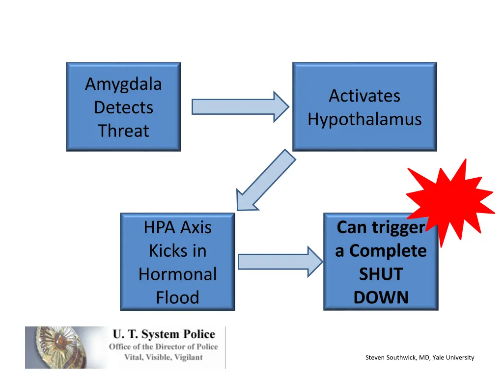 amygdala detects threat