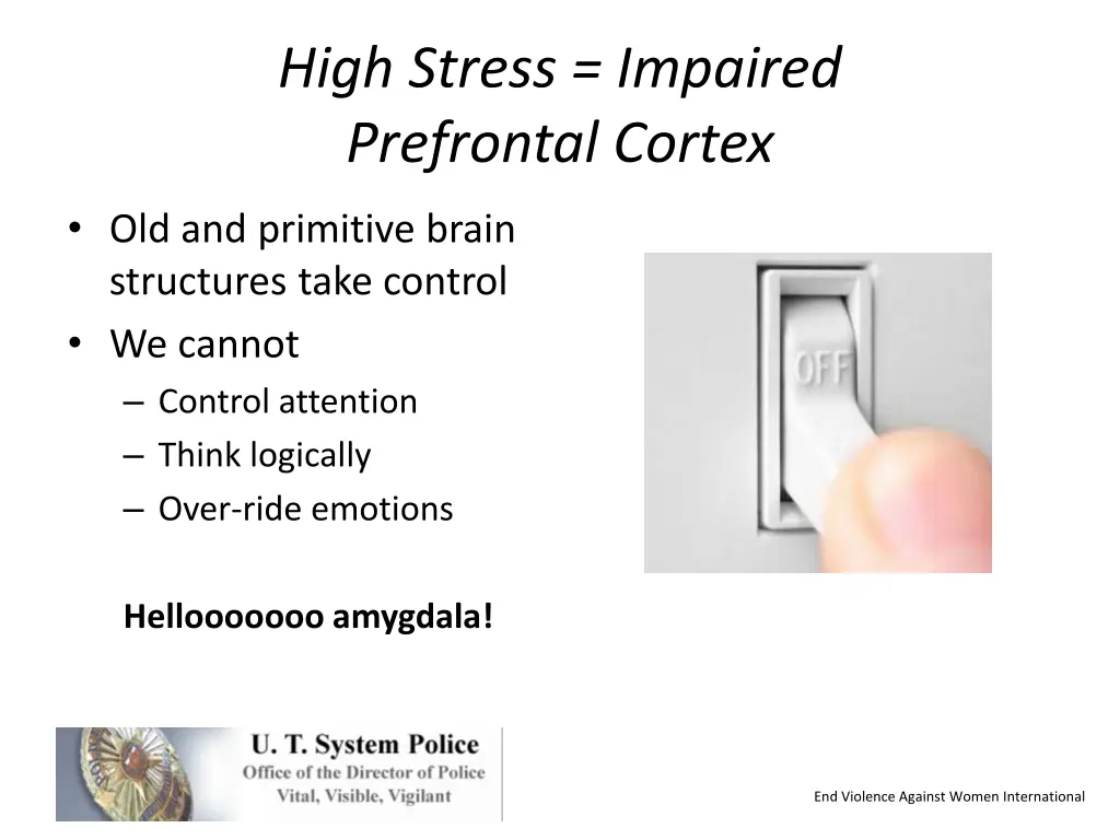 high stress impaired prefrontal cortex