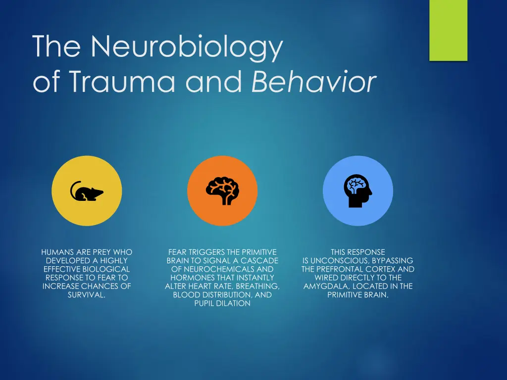 the neurobiology of trauma and behavior