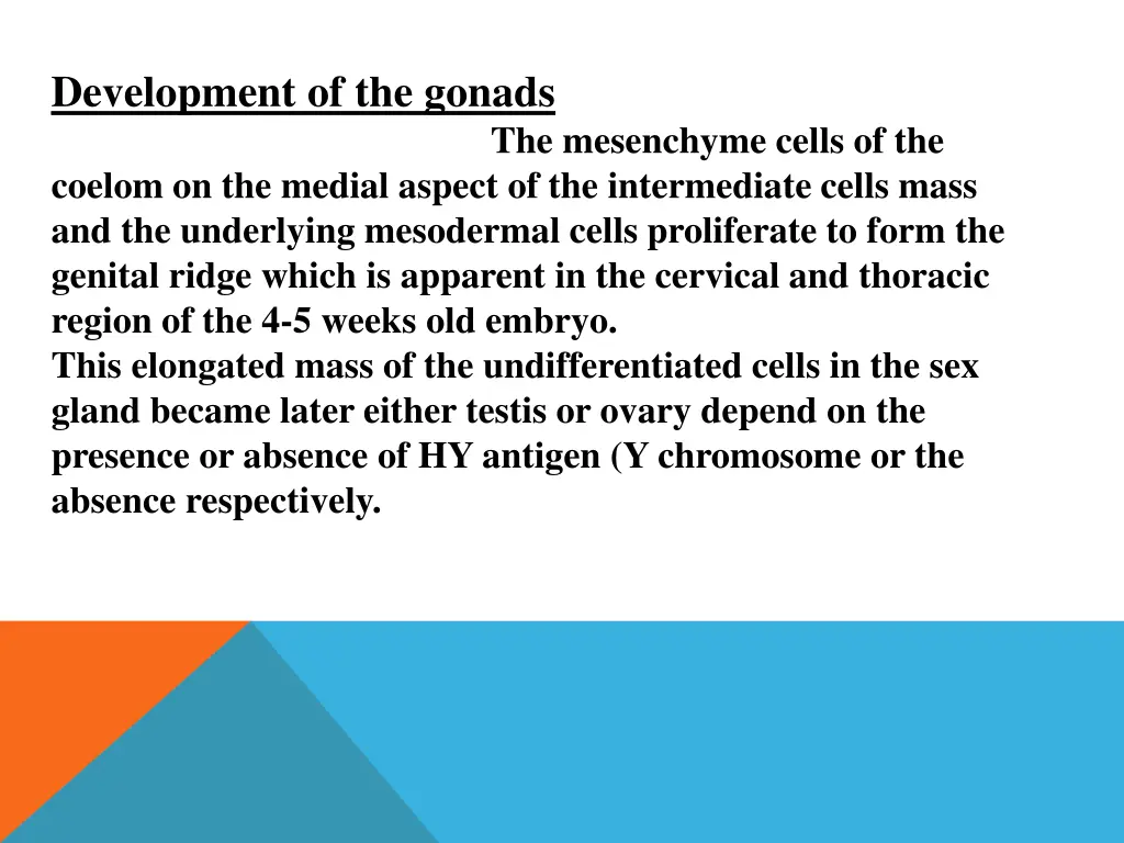 development of the gonads