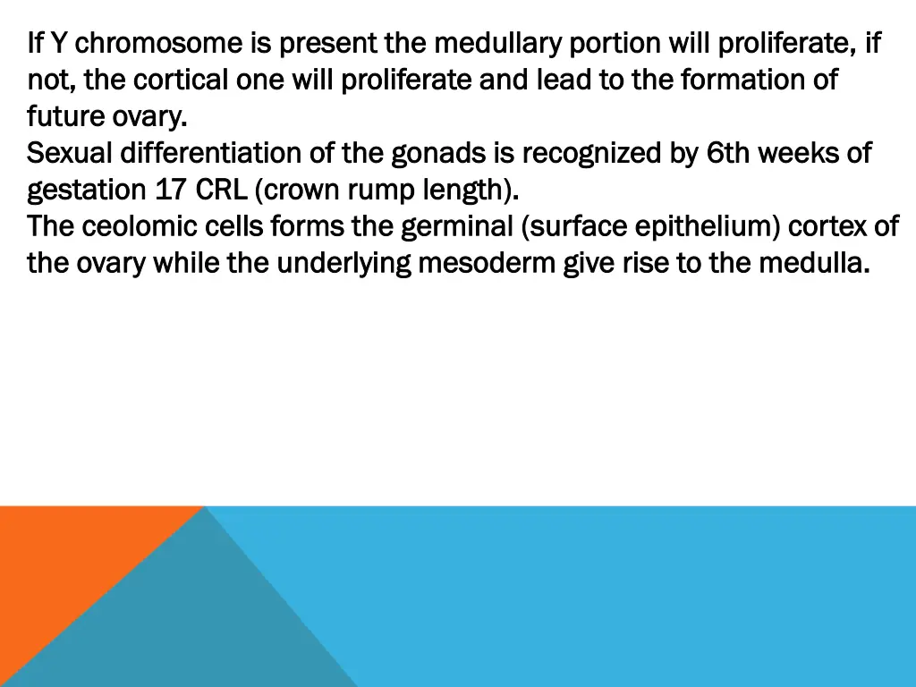 if y chromosome is present the medullary portion