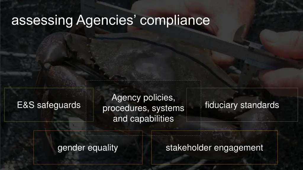 assessing agencies compliance