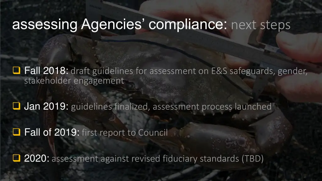 assessing agencies compliance next steps