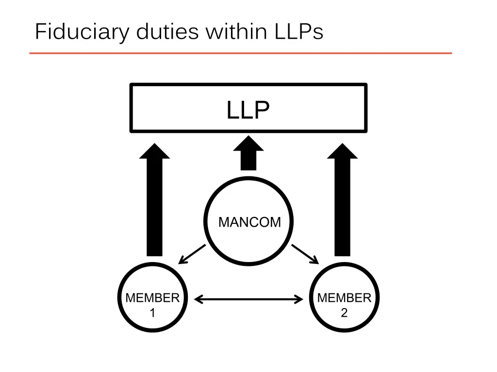 fiduciary duties within llps