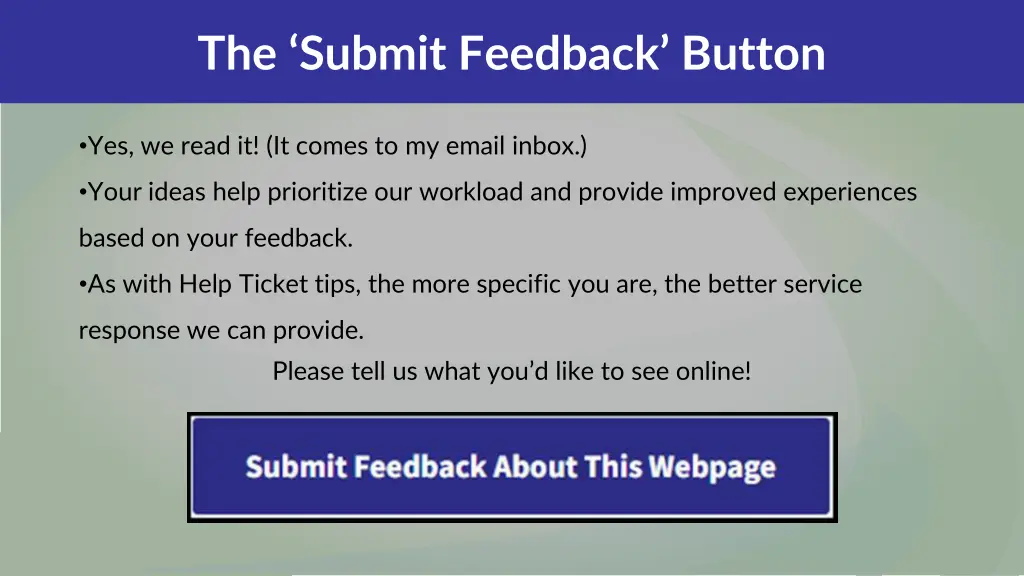 the submit feedback button