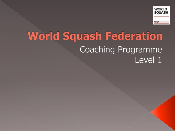 world squash federation coaching programme