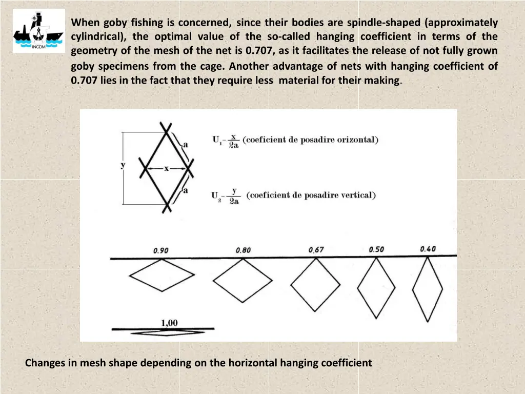 when goby fishing is concerned since their bodies