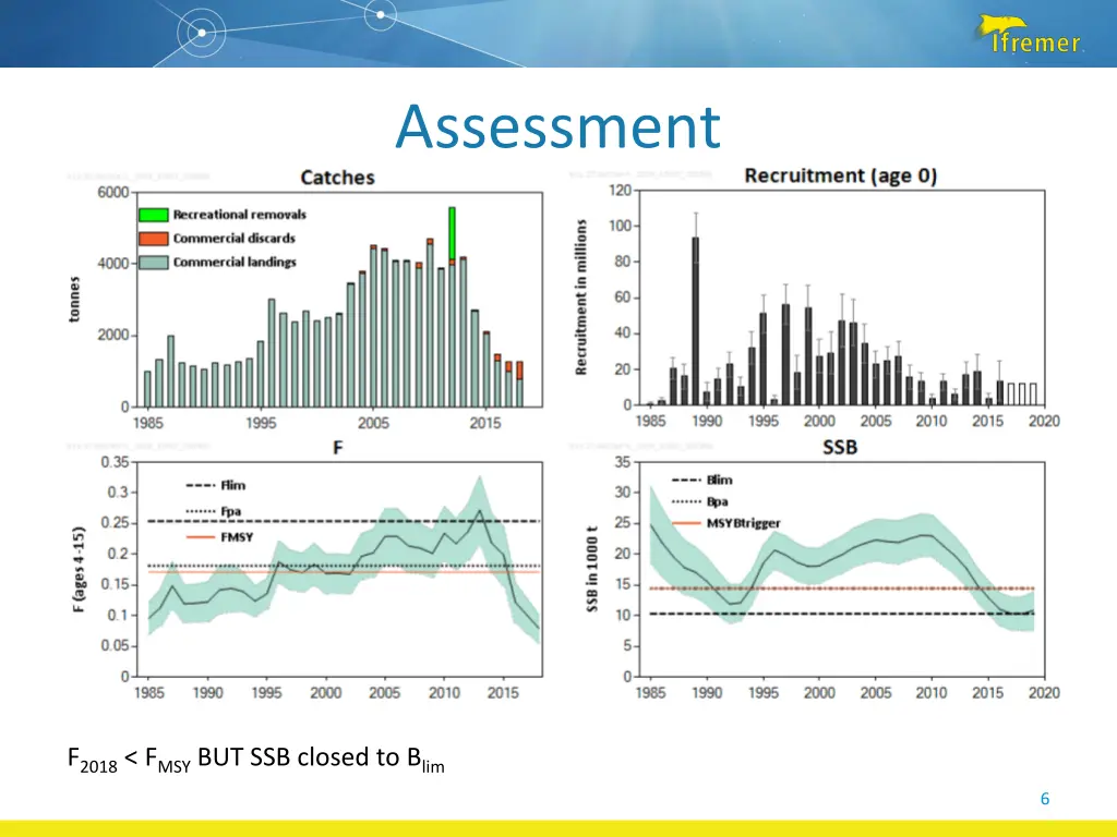 assessment