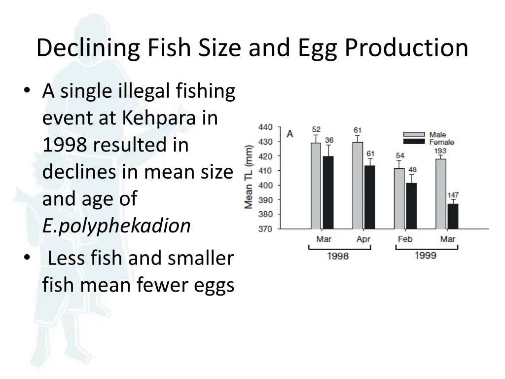 declining fish size and egg production