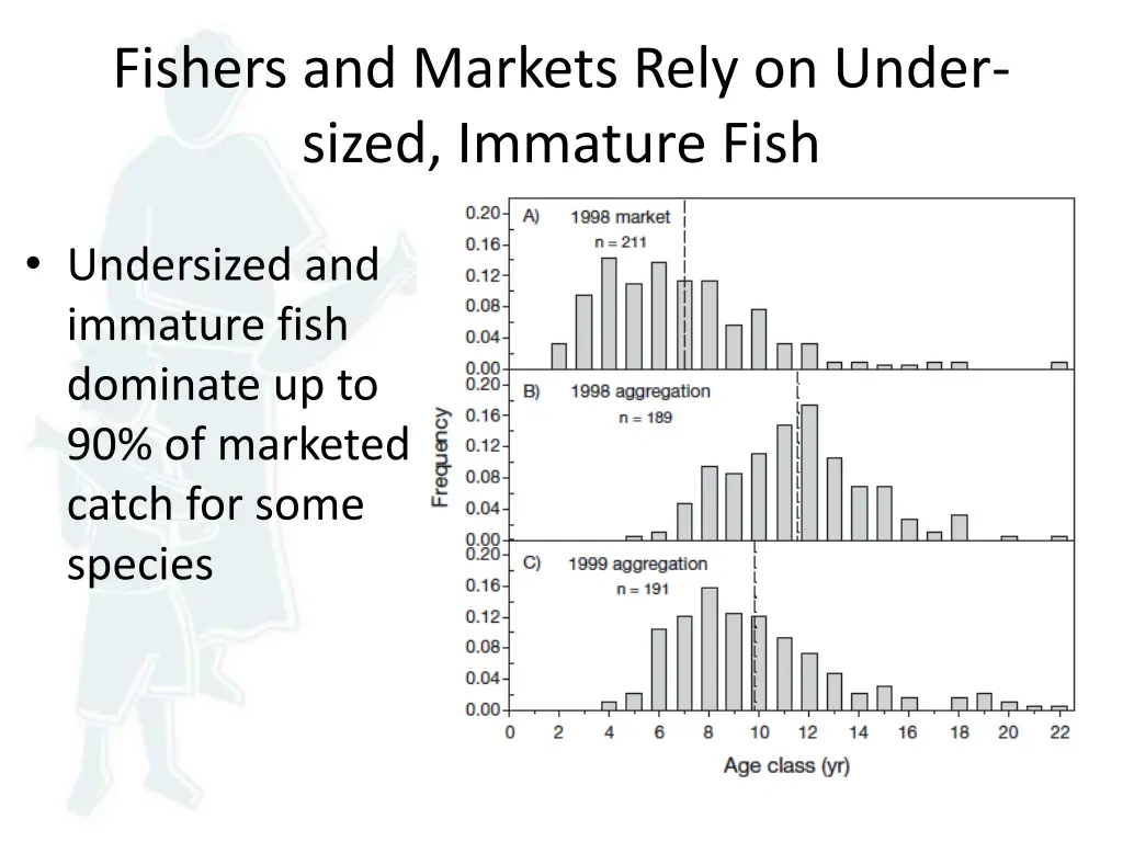 fishers and markets rely on under sized immature