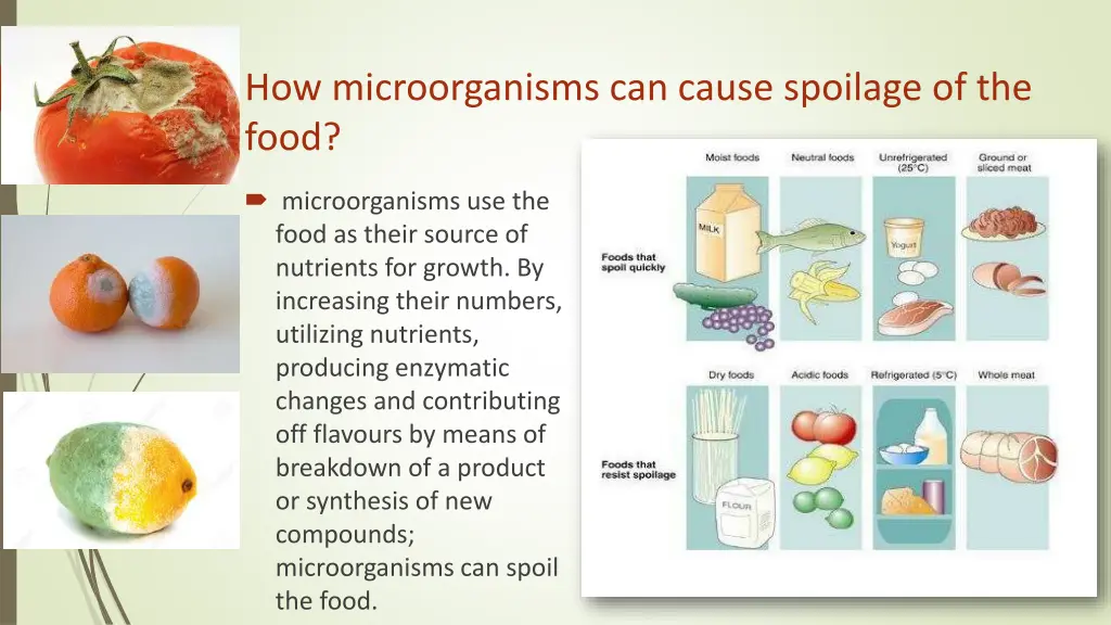 how microorganisms can cause spoilage of the food