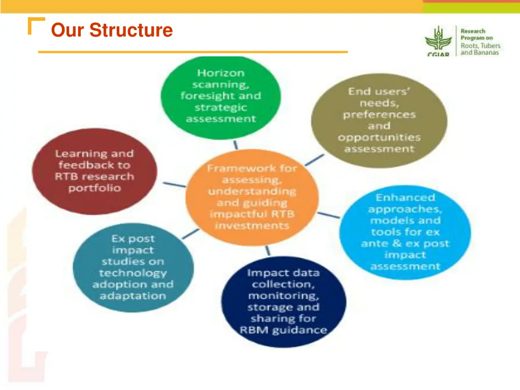 our structure