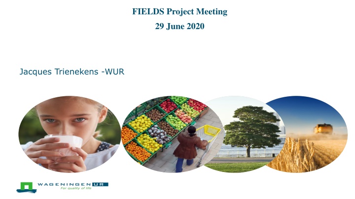 fields project meeting 29 june 2020