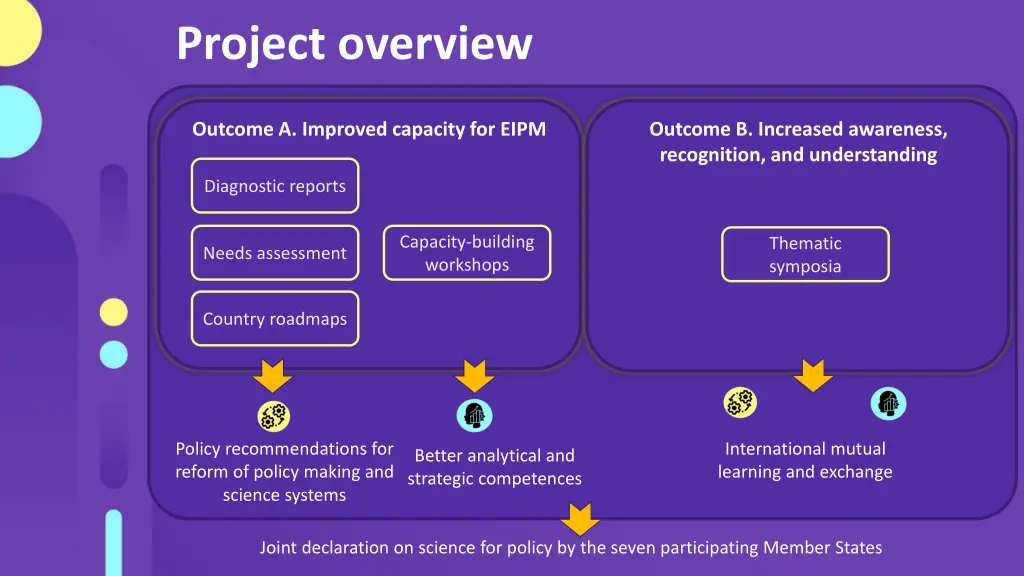 project overview