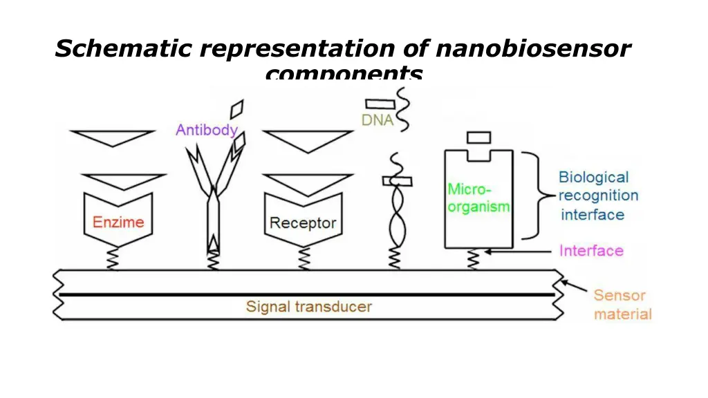 schematic representation of nanobiosensor