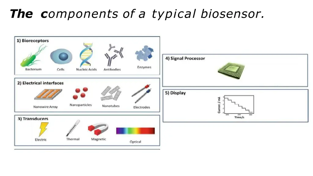 the c omponents of a typical biosensor