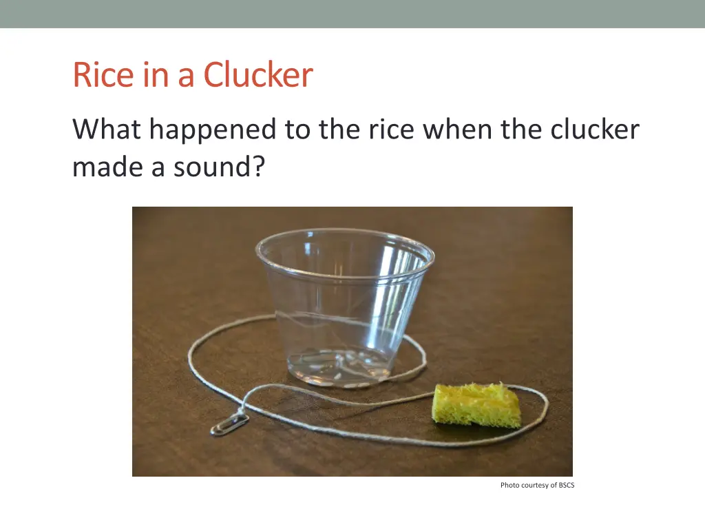 rice in a clucker