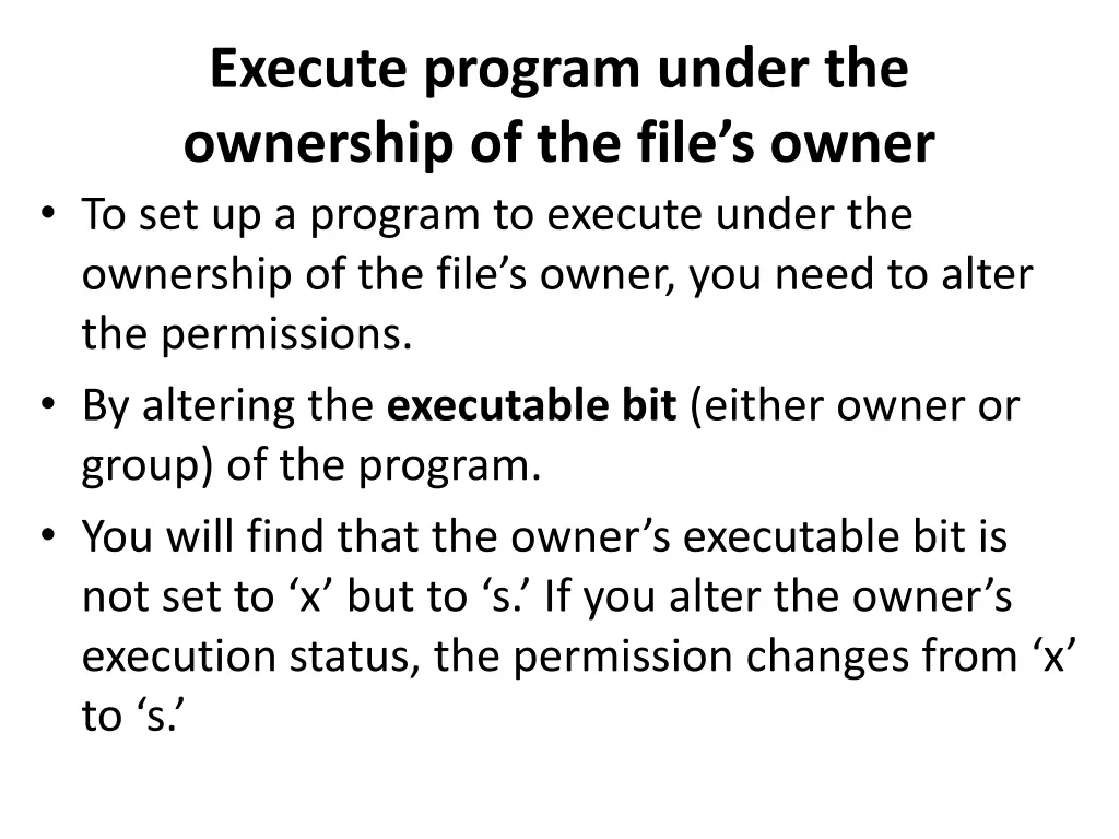 execute program under the ownership of the file