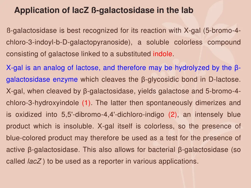 application of lacz galactosidase in the lab