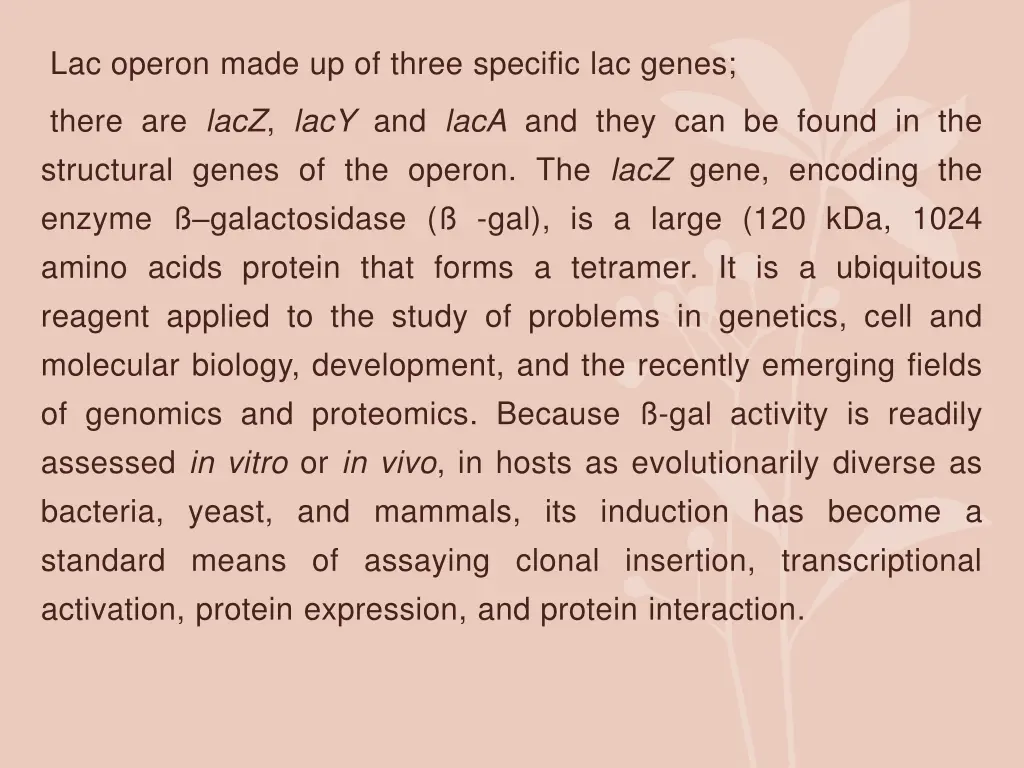 lac operon made up of three specific lac genes