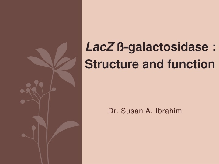 lacz galactosidase structure and function