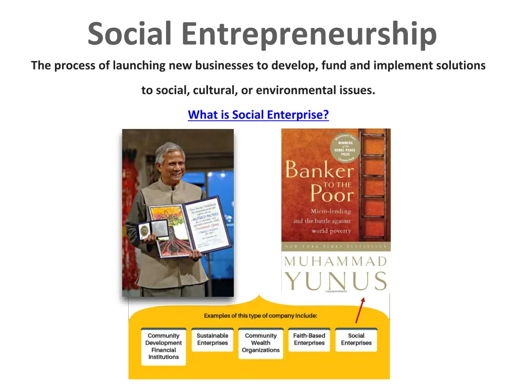 social entrepreneurship the process of launching