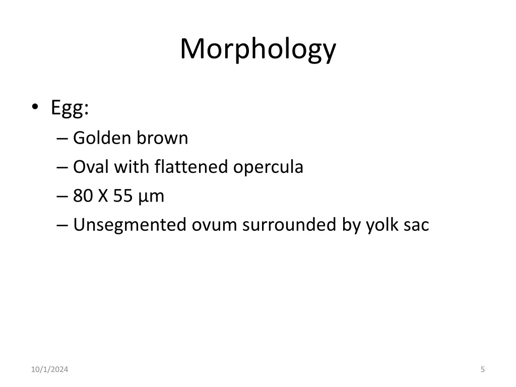 morphology 1